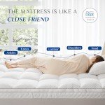 Dual-Layer Memory Foam Hospital Air Mattress 10.2cm