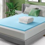 Ultra-Firm 10.2 CM Dual Bed Patient Air Mattress