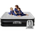 Airefina Queen Patient Air Mattress with Pump