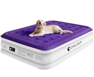 Premium Patient Air Mattress with Built-in Pump
