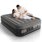 Lavisx Queen Patient Air Mattress with Pump