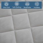 Queen-Size Patient Air Mattress for Comfort
