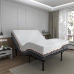 Adjustable Queen Air Mattress for Hospital Use