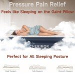 CHERIMOR Inflatable Hospital Air Mattress with Pump