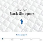 Twin XL Firm Hybrid Hospital Air Mattress with Support