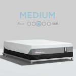 Premium Support Air Mattress for Patients - California King