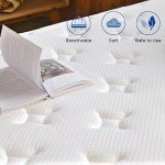 Patient Air Mattress with Pressure Relief and Support
