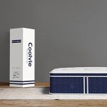 Patient Air Mattress with Pressure Relief and Support