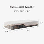 Adjustable Twin XL Air Mattress for Patients