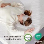 Queen Size Patient Air Mattress with Gel Foam