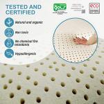 Organic Latex Mattress Topper - 2 Inch Twin Size