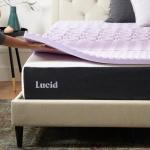 Lavender Infused Memory Foam Mattress Topper - Twin XL