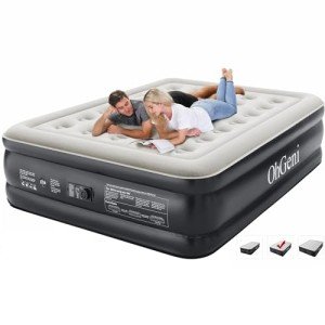 Queen Patient Air Mattress with Built-in Pump