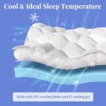 Cooling Gel Queen Mattress Topper with Pillow Pad