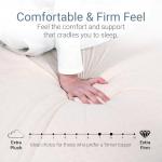 Organic Latex Queen Mattress Topper - Medium Firm