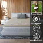 Greaton 1-Inch Latex Mattress Topper for Comfort