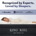 King Koil Plush Queen Size Patient Air Mattress