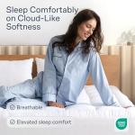 Comfortable Twin Air Mattress for Back Pain Relief