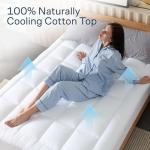 Comfortable Twin Air Mattress for Back Pain Relief