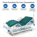 Restisland Electric ICU Bed with Air Mattress