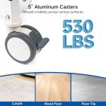 Restisland Electric ICU Bed with Air Mattress