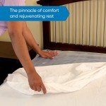 Repose Pressure Relief Air Mattress with Pump