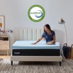 LUCID 3-Inch Gel Memory Foam Patient Mattress