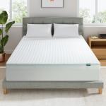 Ultra-Firm 10.2 CM Dual Bed Patient Air Mattress