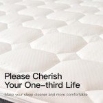 Upgraded Twin Air Mattress for Patient Comfort