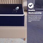 Comfortable 5-Inch Hospital Air Mattress for Patients