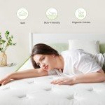 Premium Patient Air Mattress for Comfort & Support