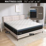 Full-Size Hospital Air Mattress with Motion Isolation