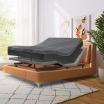 Twin XL Adjustable Hospital Air Mattress & Base