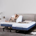 Adjustable Hospital Air Mattress with Remote Control