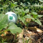 Four Leaf Clover Golf Ball Stamp Markers