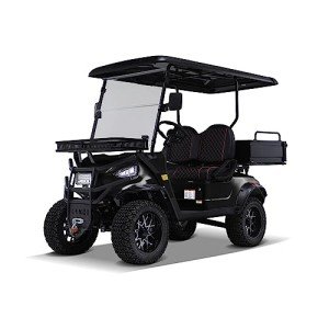 Kandi America Electric 2 Passenger Golf Cart