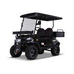 Kandi America Electric 2 Passenger Golf Cart