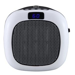 750-Watt Wall Mount Electric Space Heater with Timer