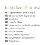 INIKA Organic Perfection Concealer - Very Light 10 ml