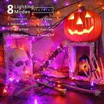 Spooky Purple & Orange Halloween String Lights, 240 LED