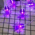 KEPATO Battery-Operated Halloween Spider String Lights