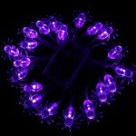 KEPATO Battery-Operated Halloween Spider String Lights