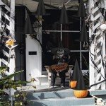 12 PCS Black Hanging Witch Hats for Halloween Decor