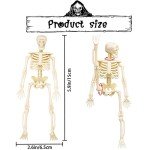 8PCS Mini Skeletons Halloween Decorations for Parties