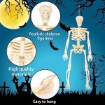 8PCS Mini Skeletons Halloween Decorations for Parties