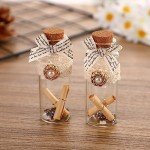 Mini Glass Potion Bottles with Cork Stoppers - 12 Pack