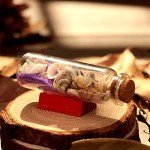 Mini Glass Potion Bottles with Cork Stoppers - 12 Pack