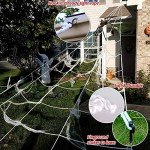Giant Spider Web and Spider Halloween Decor Set