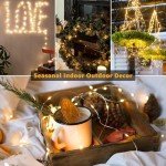 Battery Operated 20 LED Fairy String Lights