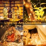 Battery Operated 20 LED Fairy String Lights